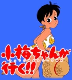 Imagem de destaque 4