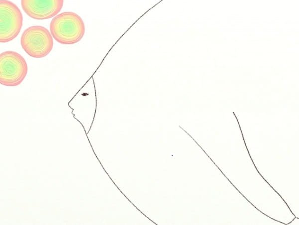 Imagem de destaque 5