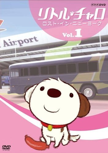 Imagem de destaque 5