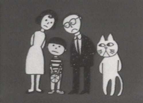 Imagem de destaque 5