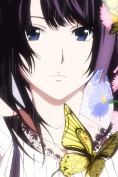 Imagem de destaque 3