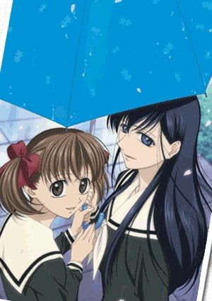 Imagem de destaque 4