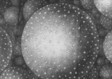 Imagem de destaque 1