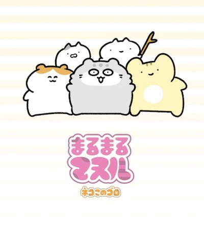 Imagem de destaque 3