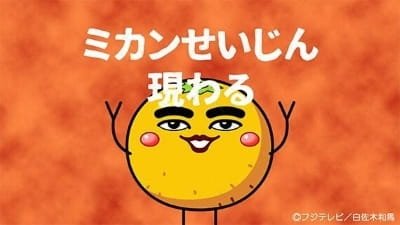 Imagem de destaque 5