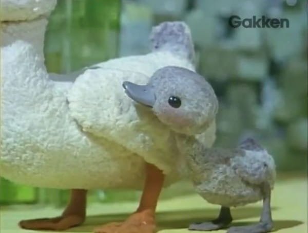 Imagem de destaque 3