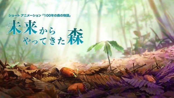 Imagem de destaque 3