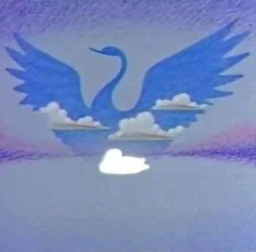 Imagem de destaque 4