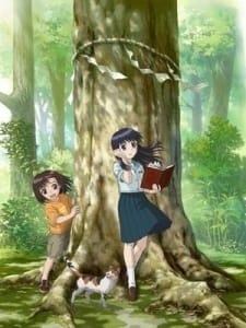 Imagem de destaque 2