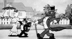 Imagem de destaque 5