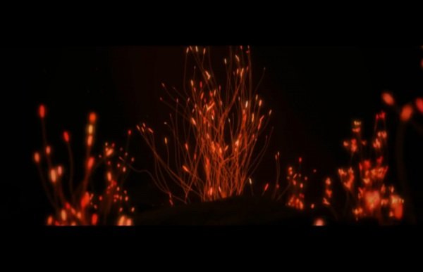 Imagem de destaque 4