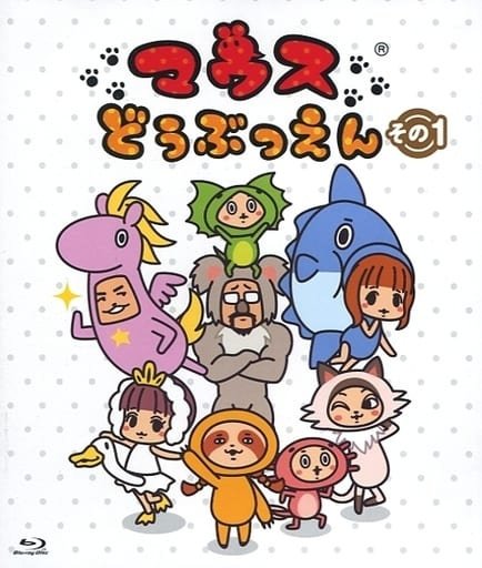 Imagem de destaque 4