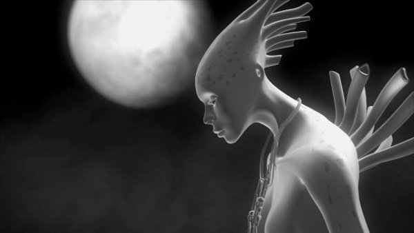 Imagem de destaque 2