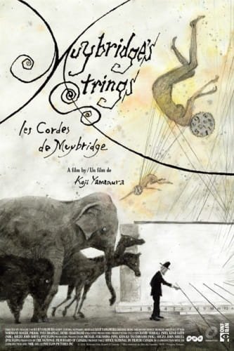 Imagem de destaque 4