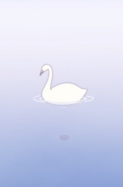 Imagem de destaque 5