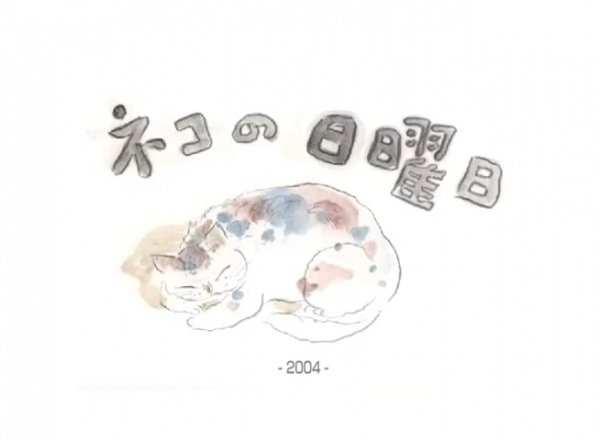 Imagem de destaque 5