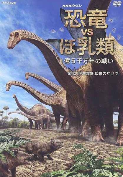 Imagem de destaque 4