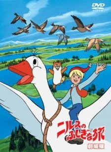 Imagem de destaque 1