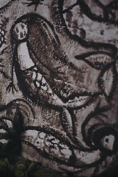 Imagem de destaque 4