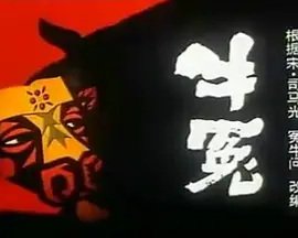 Imagem de destaque 5