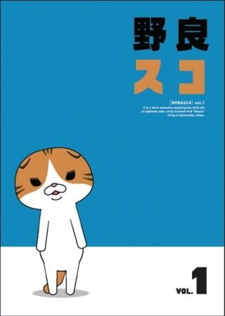 Imagem de destaque 4