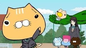 Imagem de destaque 4