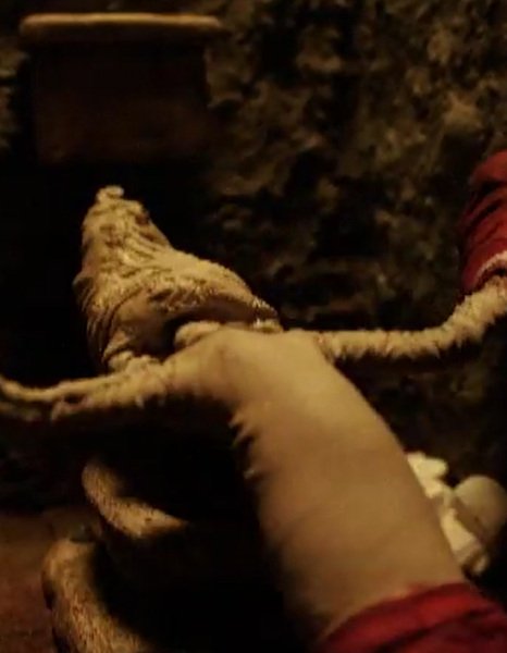 Imagem de destaque 5