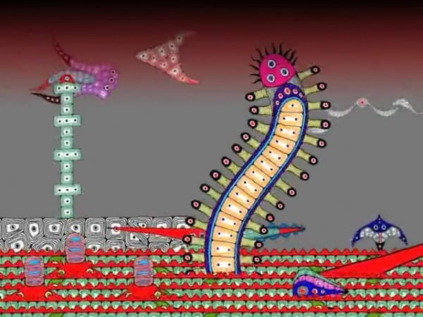 Imagem de destaque 3