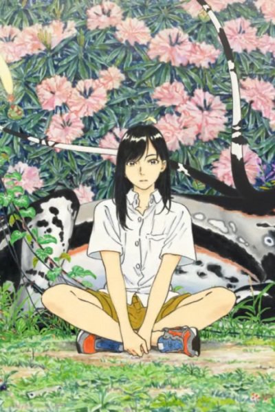 Imagem de destaque 4