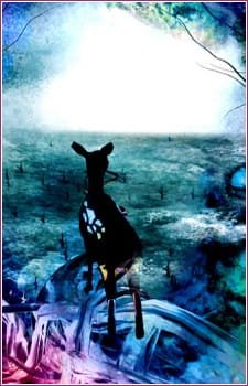 Imagem de destaque 3