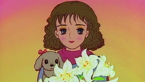 Imagem de destaque 3