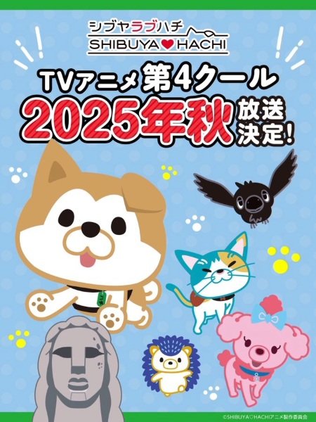 Imagem de destaque 5