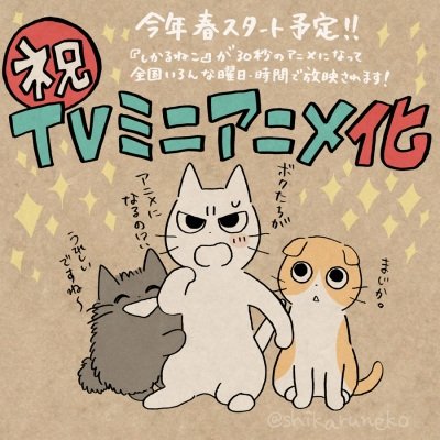 Imagem de destaque 3