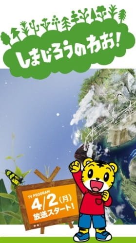 Imagem de destaque 4