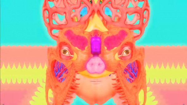 Imagem de destaque 3