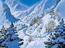 Imagem de destaque 2