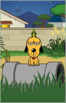 Imagem de destaque 5