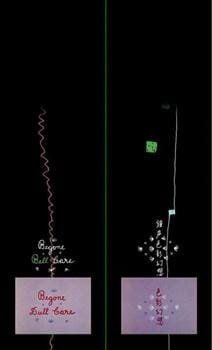 Imagem de destaque 4