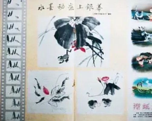 Imagem de destaque 5