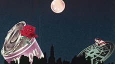 Imagem de destaque 5