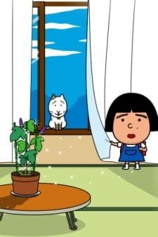 Imagem de destaque 1