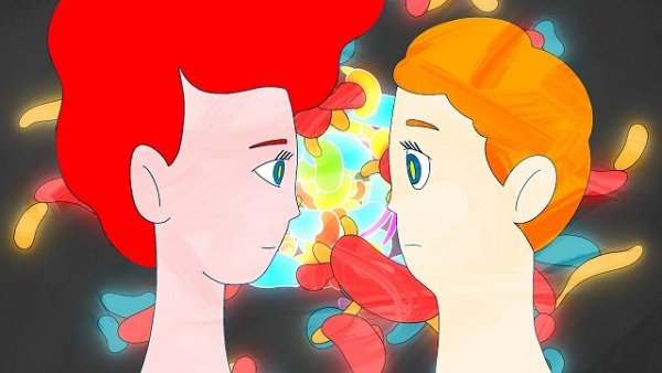 Imagem de destaque 1