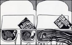 Imagem de destaque 1