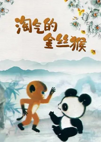 Imagem de destaque 1