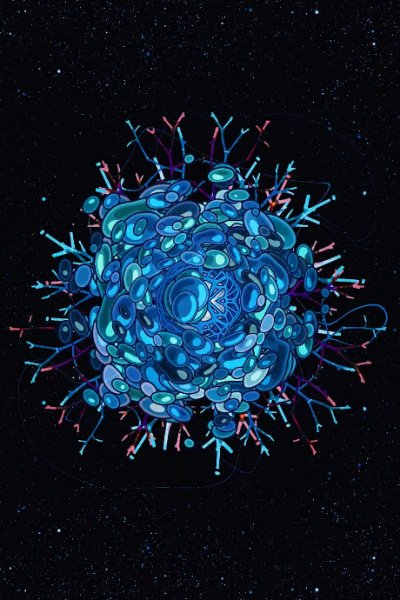 Imagem de destaque 5