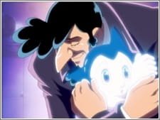 Imagem de destaque 2