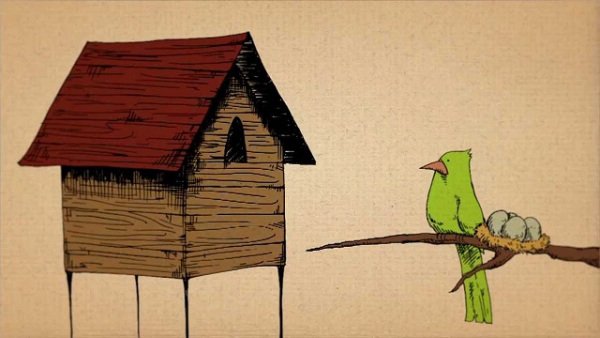 Imagem de destaque 1