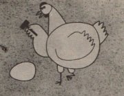 Imagem de destaque 4