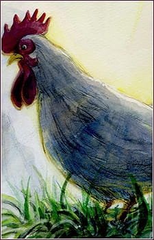 Imagem de destaque 1