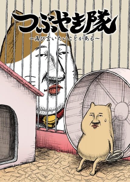 Imagem de destaque 1